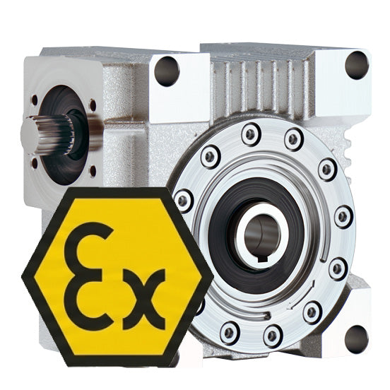 0005806239 - Servo-Schneckengetriebe